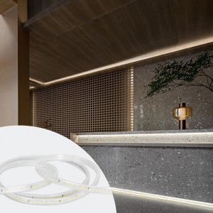 Nessun conduttore Buona uscita luminosa 220V LED Strip