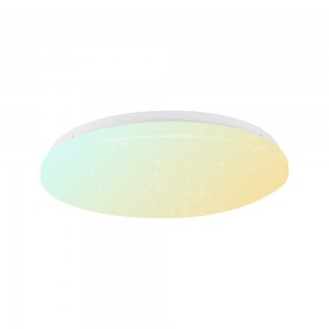 CCT Dimmable Smart Wifi Ceiling Light