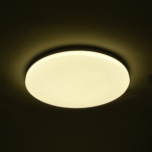 CCT Dimmable Smart Wifi Ceiling Light