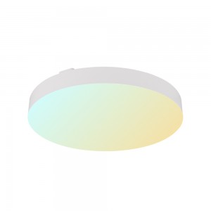 Easy Installation Smart Ceiling Light Fixture