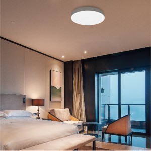 Easy Installation Smart Ceiling Light Fixture