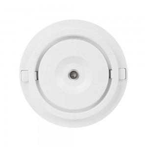 Easy Installation Smart Ceiling Light Fixture