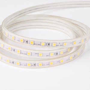 Good Head Dissipation High Voltage LED Strip Light