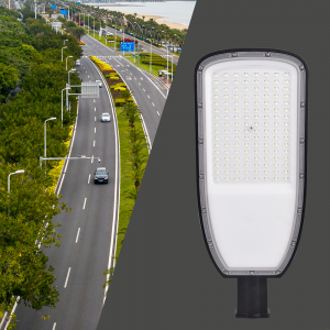 High Quality IP65 LED Auxiliary Street Lamp