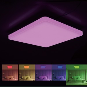 Vodotěsná RGB stropní svítidla IK08 IP54