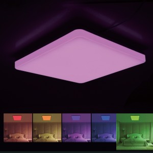 IK08 IP54 Waterproof RGB Ceiling Lights