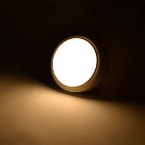 IK08 Trójkolorowa wodoodporna lampa grodziowa LED
