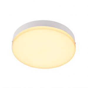 IP65 CCT and DIM Ceiling Light Fixture