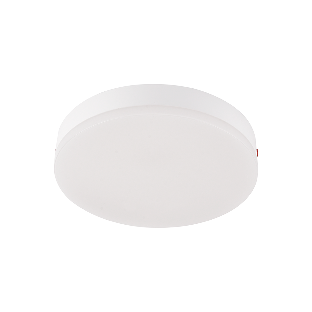 IP65 CCT and DIM CeilingLight Fixture (2)