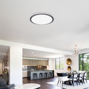 Intelligent Ceiling Lamps with music mode
