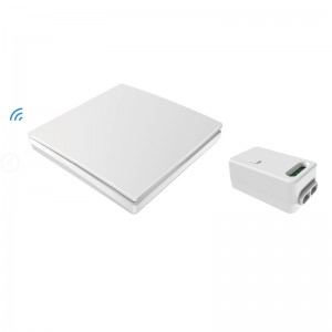 Wireless WIFI Smart Switch mit großem Panel-Design