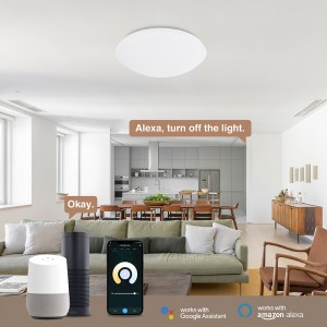 Starry Sky Cover APP-bediening WIFI LED-plafondverlichting