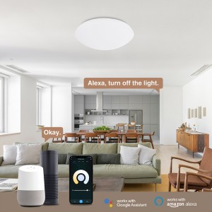 Starry Sky Cover APP التحكم WIFI LED أضواء السقف