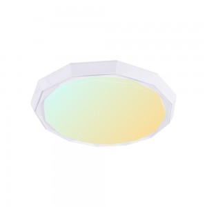 Modern Wifi Tuya Smart LED-plafond met muziekmodus