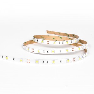 NN/NW/CW/R/G/B Single Color SMD5050 LED Strip