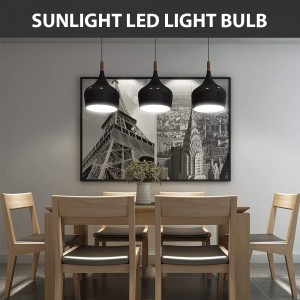 Kunststof gecoate aluminium zonlicht LED-lamp