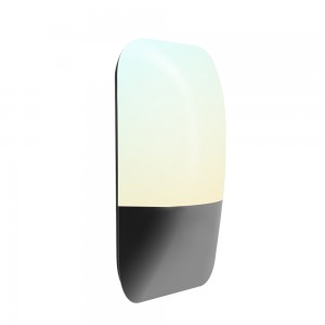 Remote Control CCT DIM Smart Wall Light