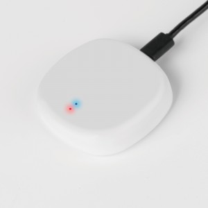 Remote control Zigbee/Bluetooth Smart Gateway