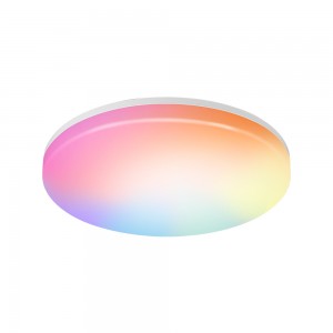 Smart Control Dimbare CCT Smart RGB-plafondlamp