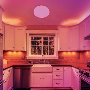 Smart Control Dimmable CCT Smart RGB Ceiling Light