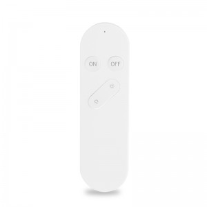 Smart WiFi/Zigbee Remote Control