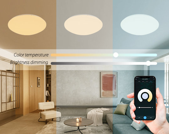 Starry Sky Cover APP Control WIFI LED Ceiling Lights (5)