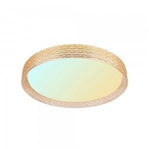 Stepless Dimming Smart Music Led Ceiling Light