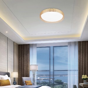 Stepless Dimming Smart Music Led Ceiling Light