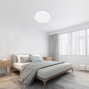 Waterproof and Impact Resistance Smart Ceiling Lamps