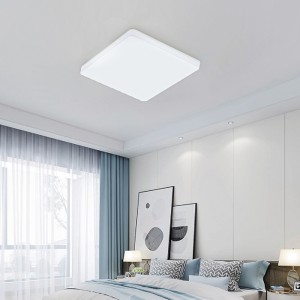 Waterproof and Impact Resistance Smart Ceiling Lamps